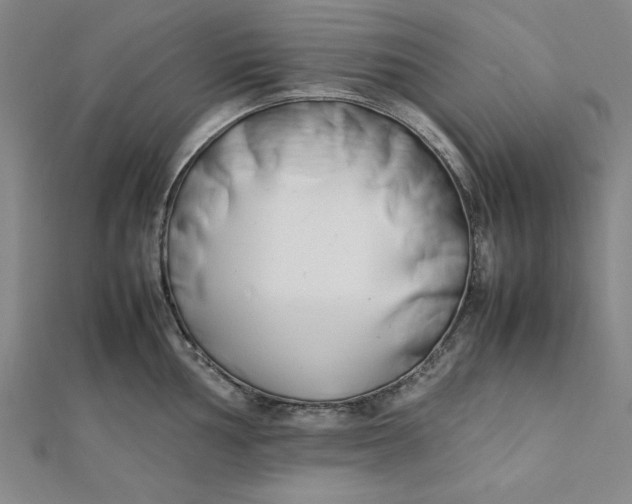 X0000112051002200908250954