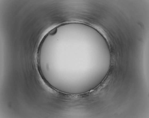 X0000112051003200908250954