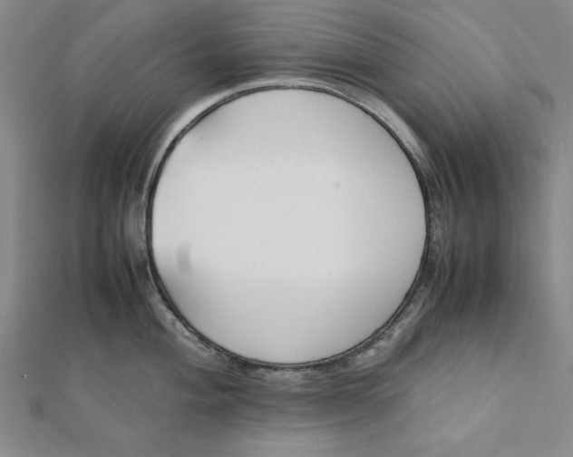 X0000112051004200908250954