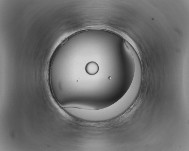 X0000112051005200908250954