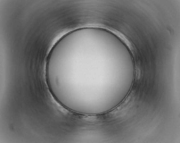 X0000112051006200908250954