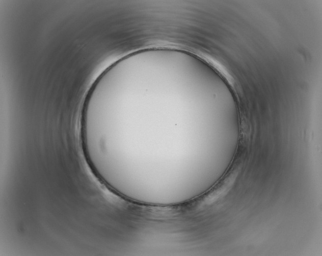 X0000112051007200908250954