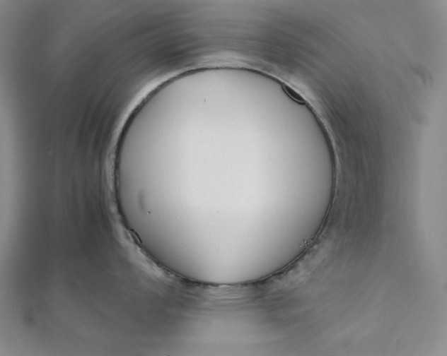 X0000112051008200908250954