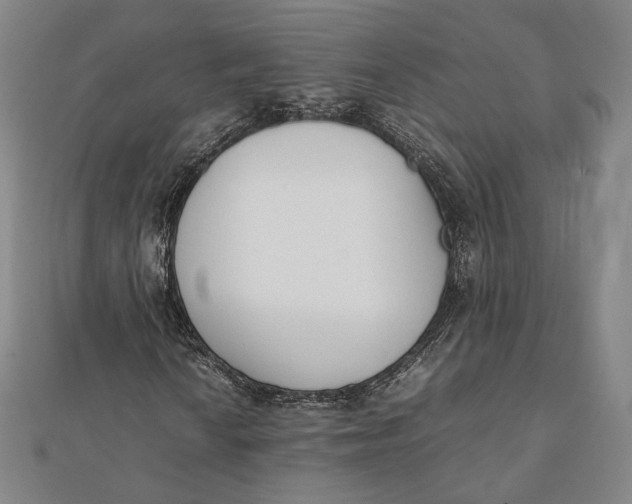 X0000112051010200908250953