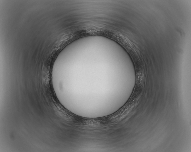 X0000112051012200908250953