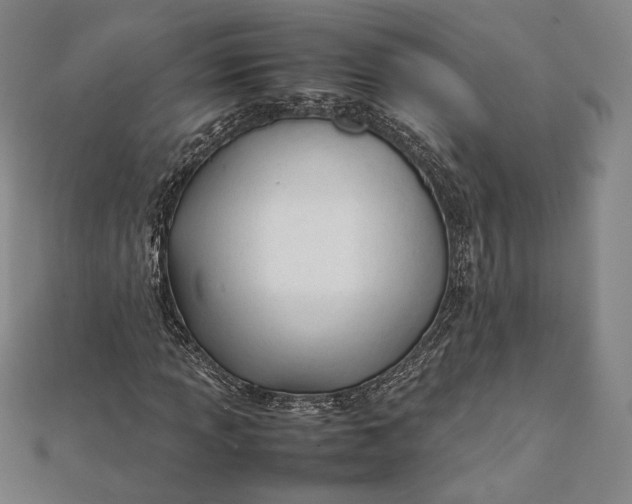 X0000112051013200908250953