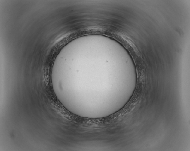 X0000112051015200908250953