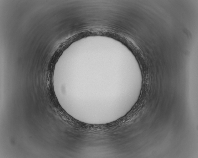 X0000112051016200908250953