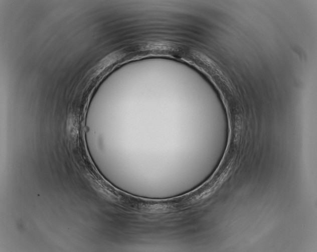 X0000112051017200908250953