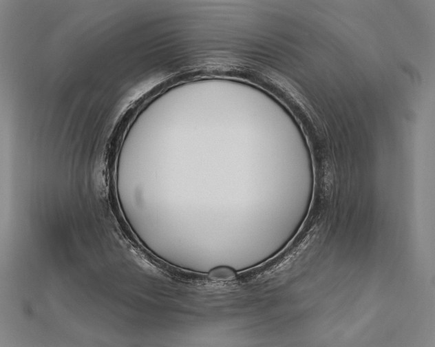 X0000112051018200908250953