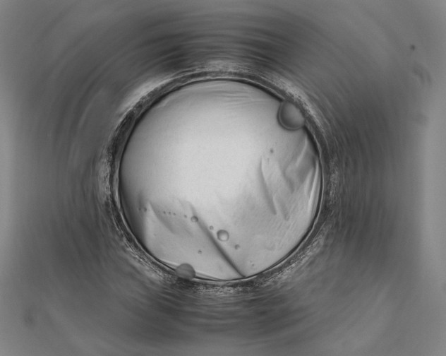 X0000112051019200908250953