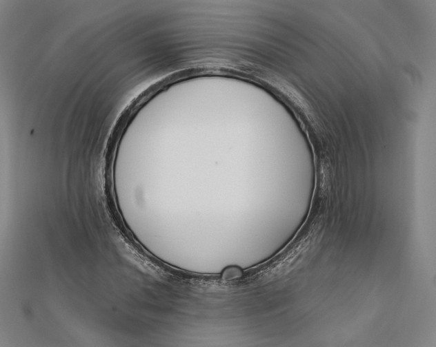 X0000112051020200908250953