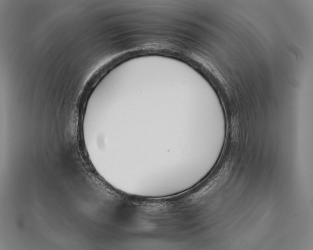 X0000112051021200908250953