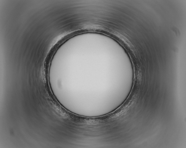 X0000112051022200908250953