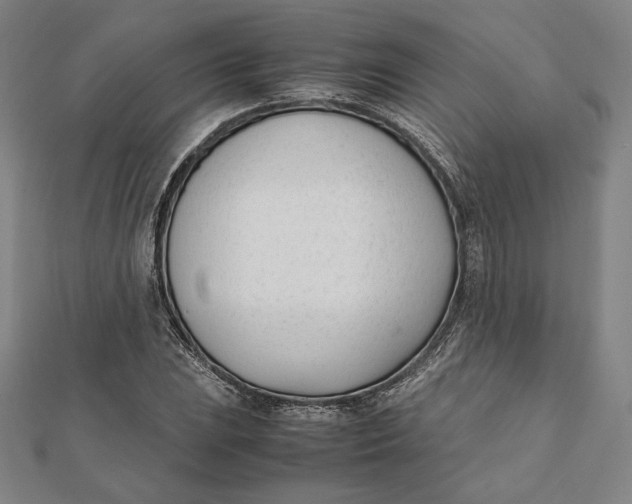 X0000112051023200908250953