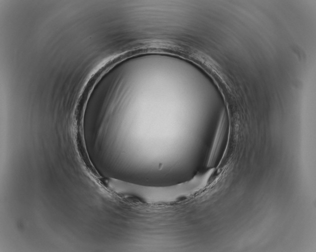 X0000112051024200908250953