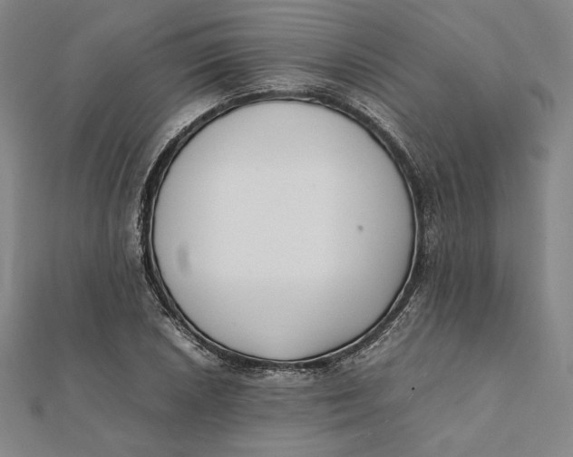 X0000112051026200908250953