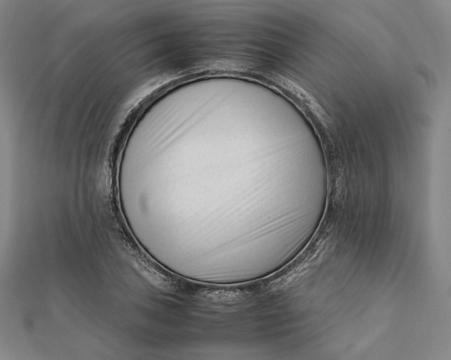 X0000112051027200908250954