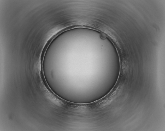 X0000112051028200908250954