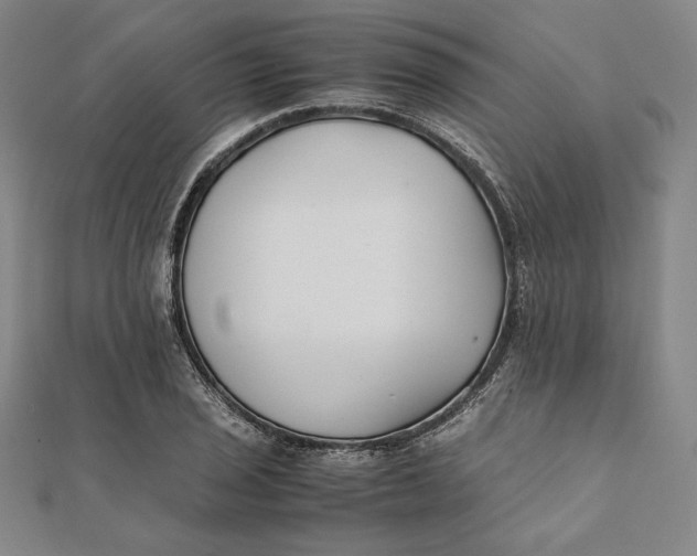 X0000112051029200908250954