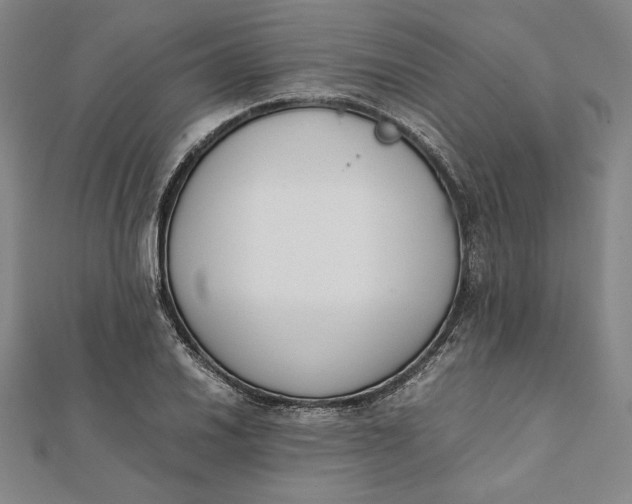 X0000112051030200908250954