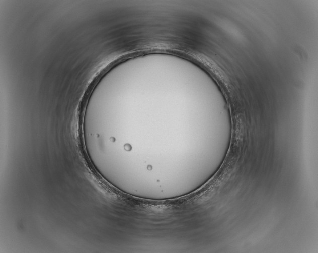 X0000112051031200908250954