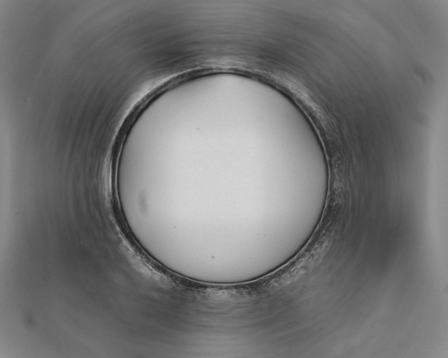 X0000112051032200908250954