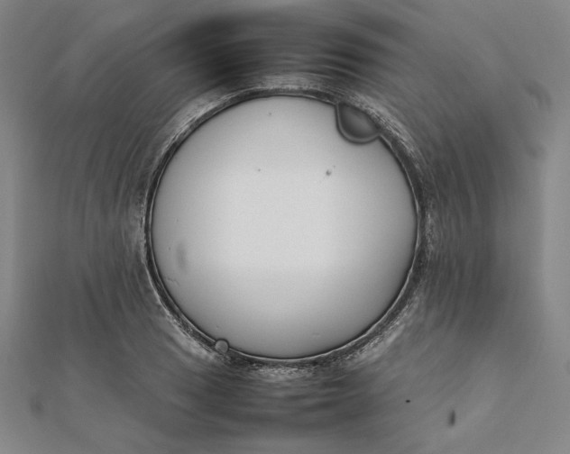 X0000112051033200908250954