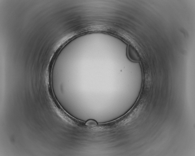 X0000112051034200908250954