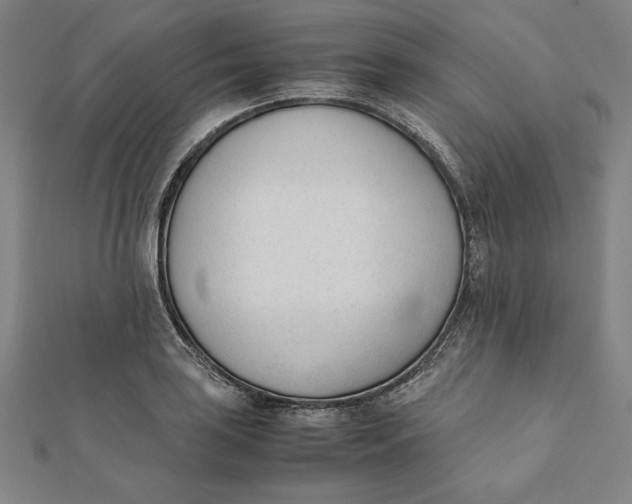 X0000112051035200908250954