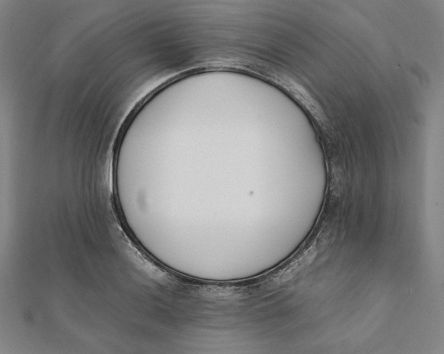 X0000112051036200908250954