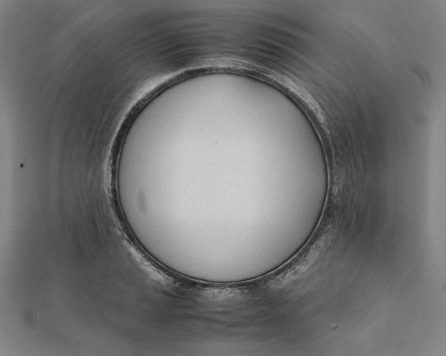 X0000112051037200908250954