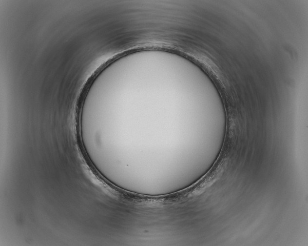 X0000112051038200908250954