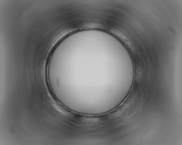 X0000112051039200908250954