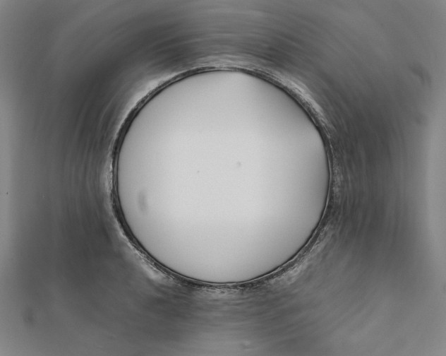 X0000112051040200908250954