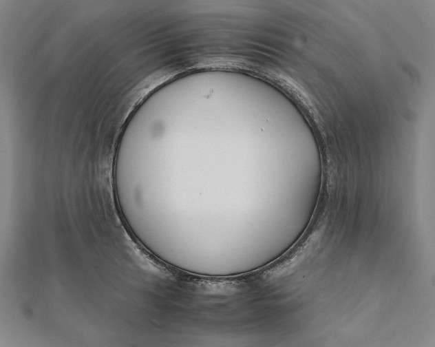 X0000112051041200908250954