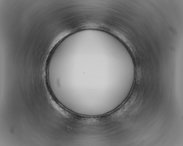 X0000112051042200908250954