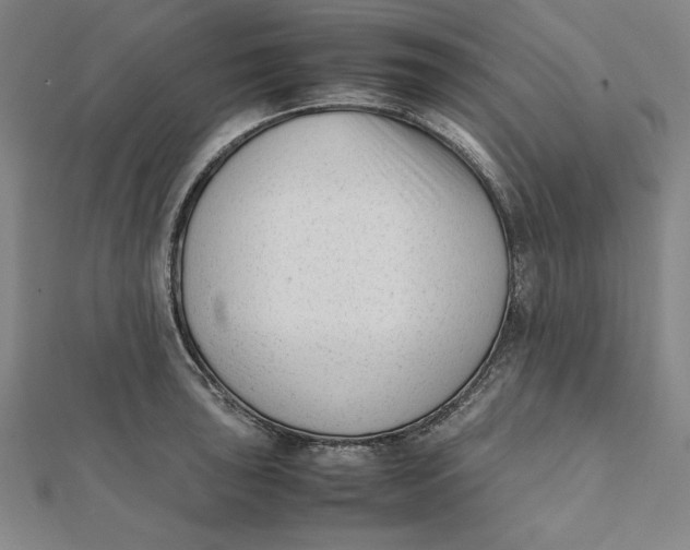 X0000112051043200908250954