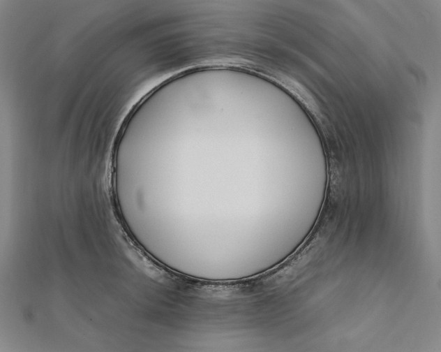 X0000112051044200908250954