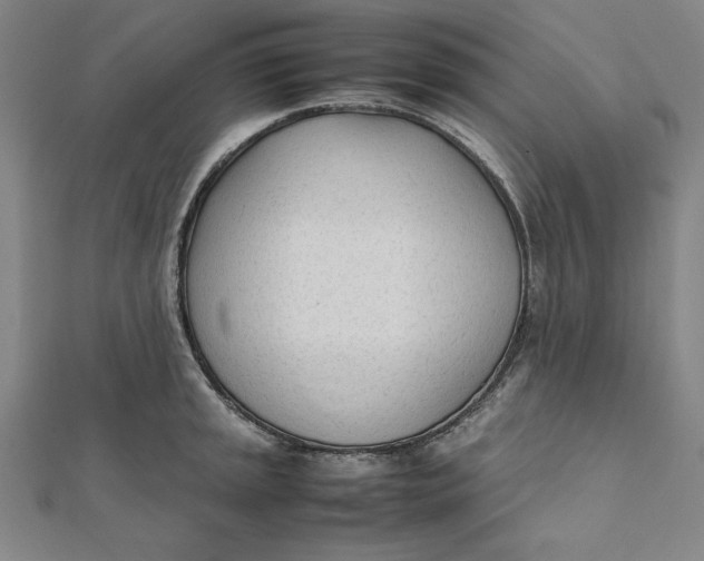 X0000112051045200908250954