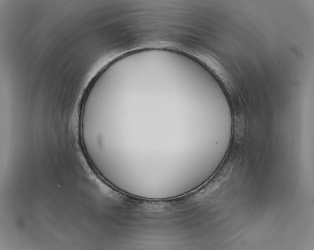 X0000112051046200908250954