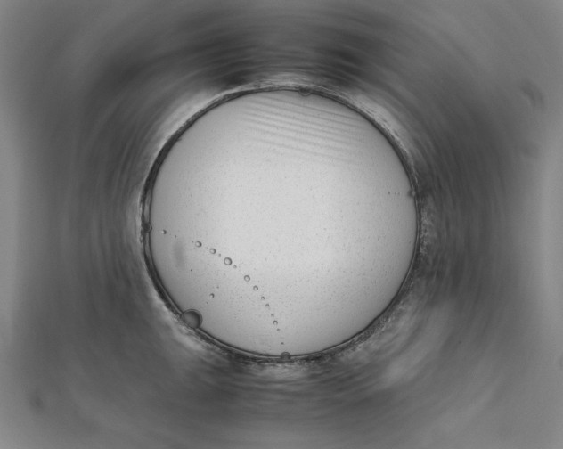 X0000112051047200908250954