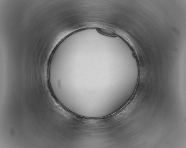 X0000112051048200908250954