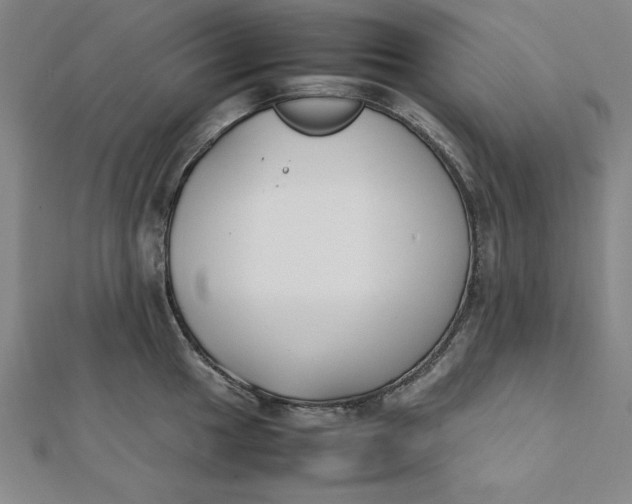 X0000112051049200908250954