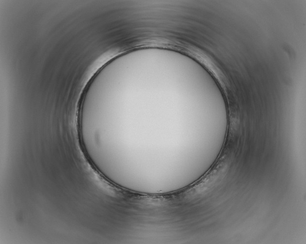 X0000112051050200908250954