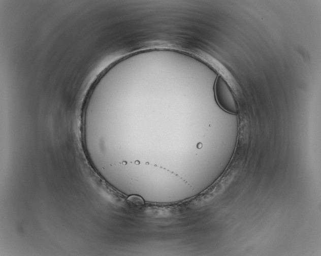 X0000112051051200908250954