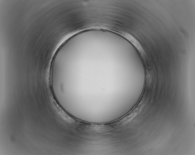 X0000112051052200908250954