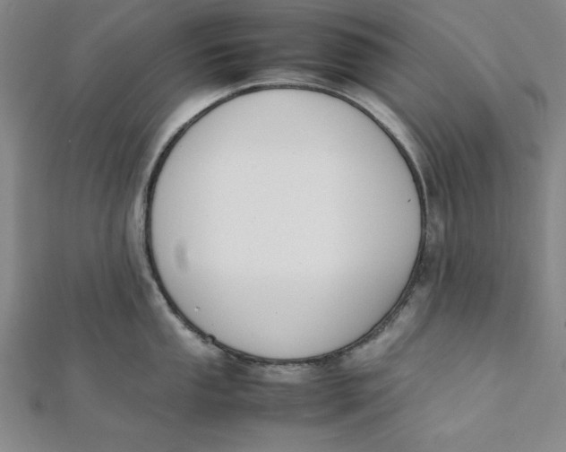 X0000112051053200908250954