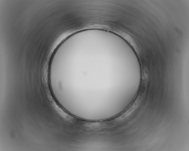 X0000112051054200908250954