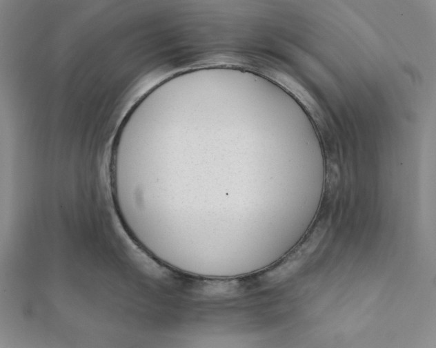 X0000112051055200908250954